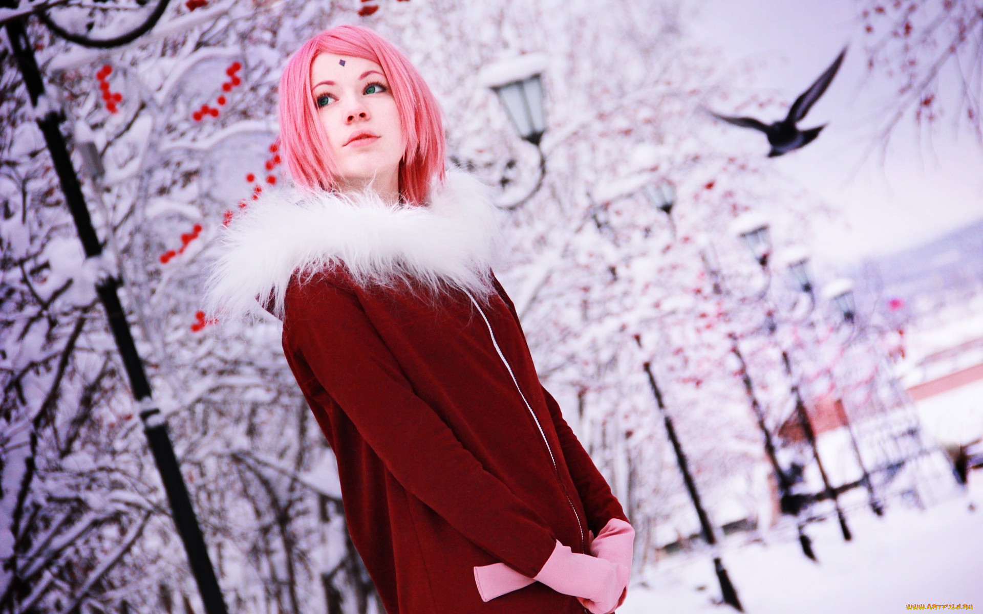 , -unsort , , , , , sakura, haruno, naruto, cosplay, seliverstova,  